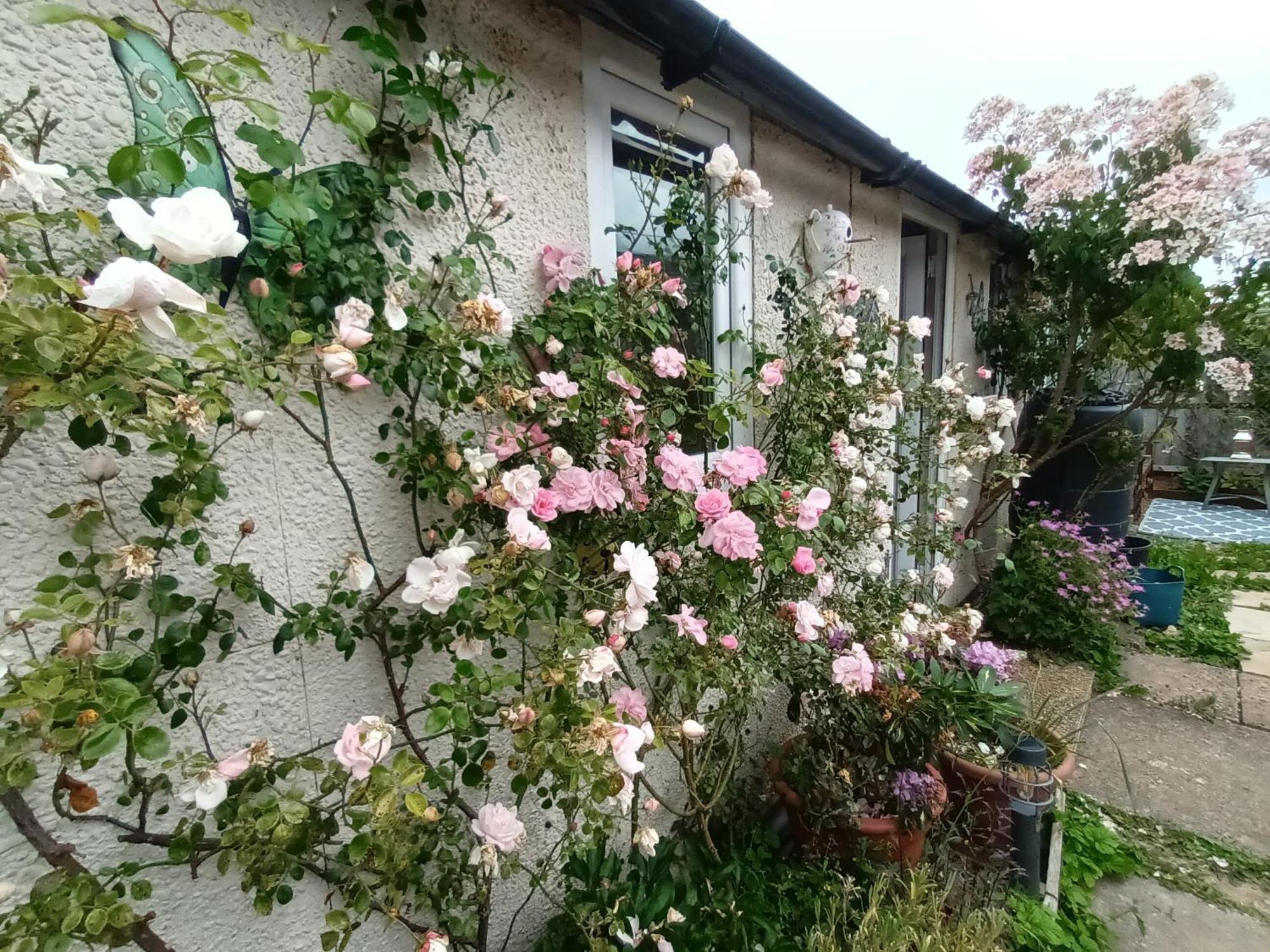 וויטני Private Suite In Oxfordshire, A40 מראה חיצוני תמונה